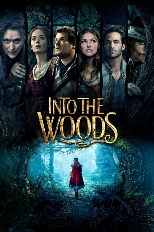 دانلود فیلم Into the Woods – بسوی جنگل